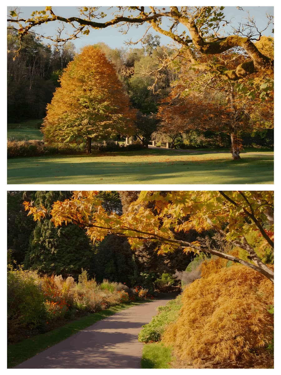 Autumn Park