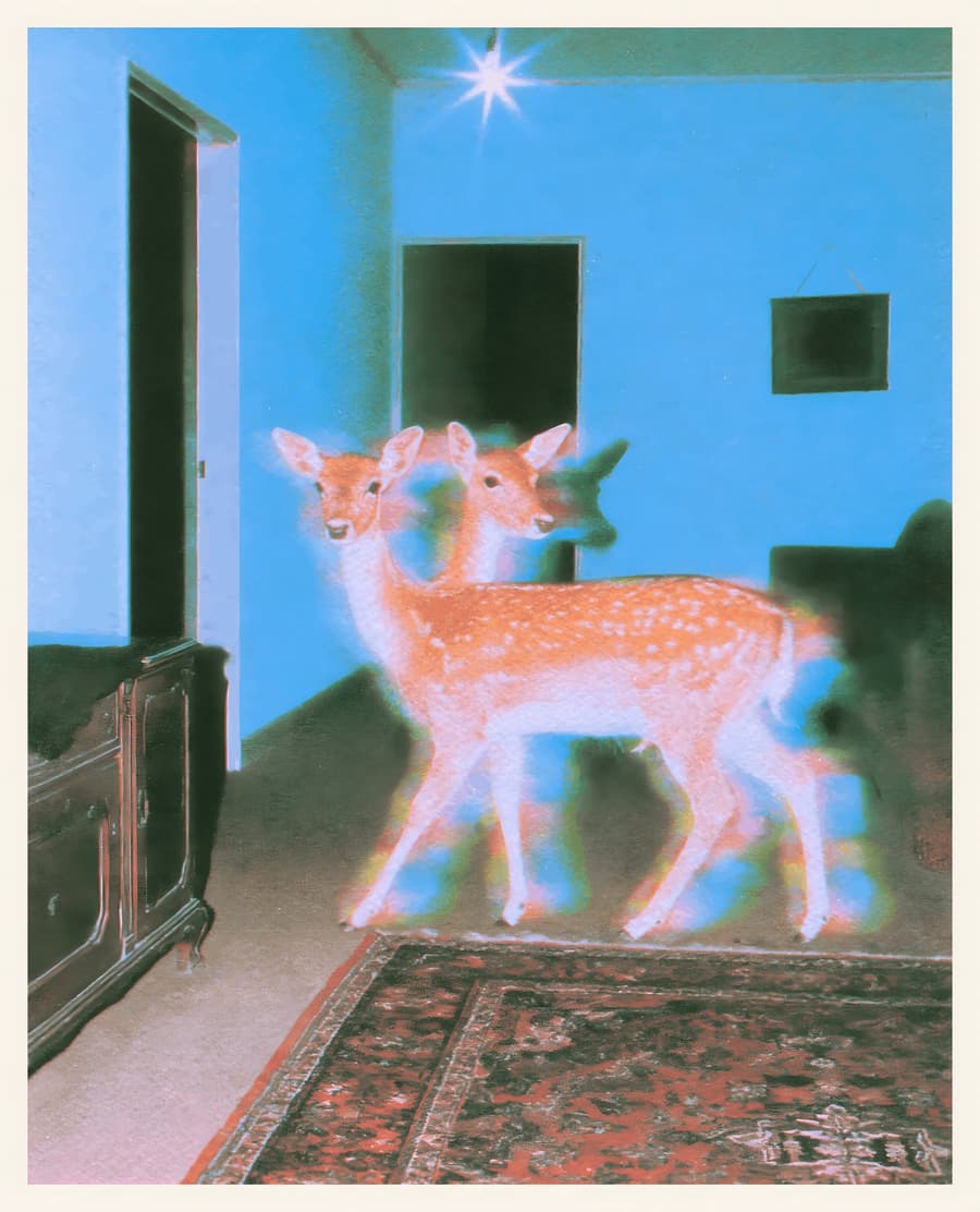 Deer in the Blue Room