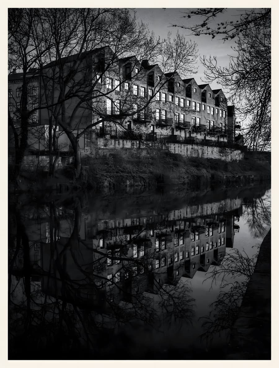 Riverside Reflection
