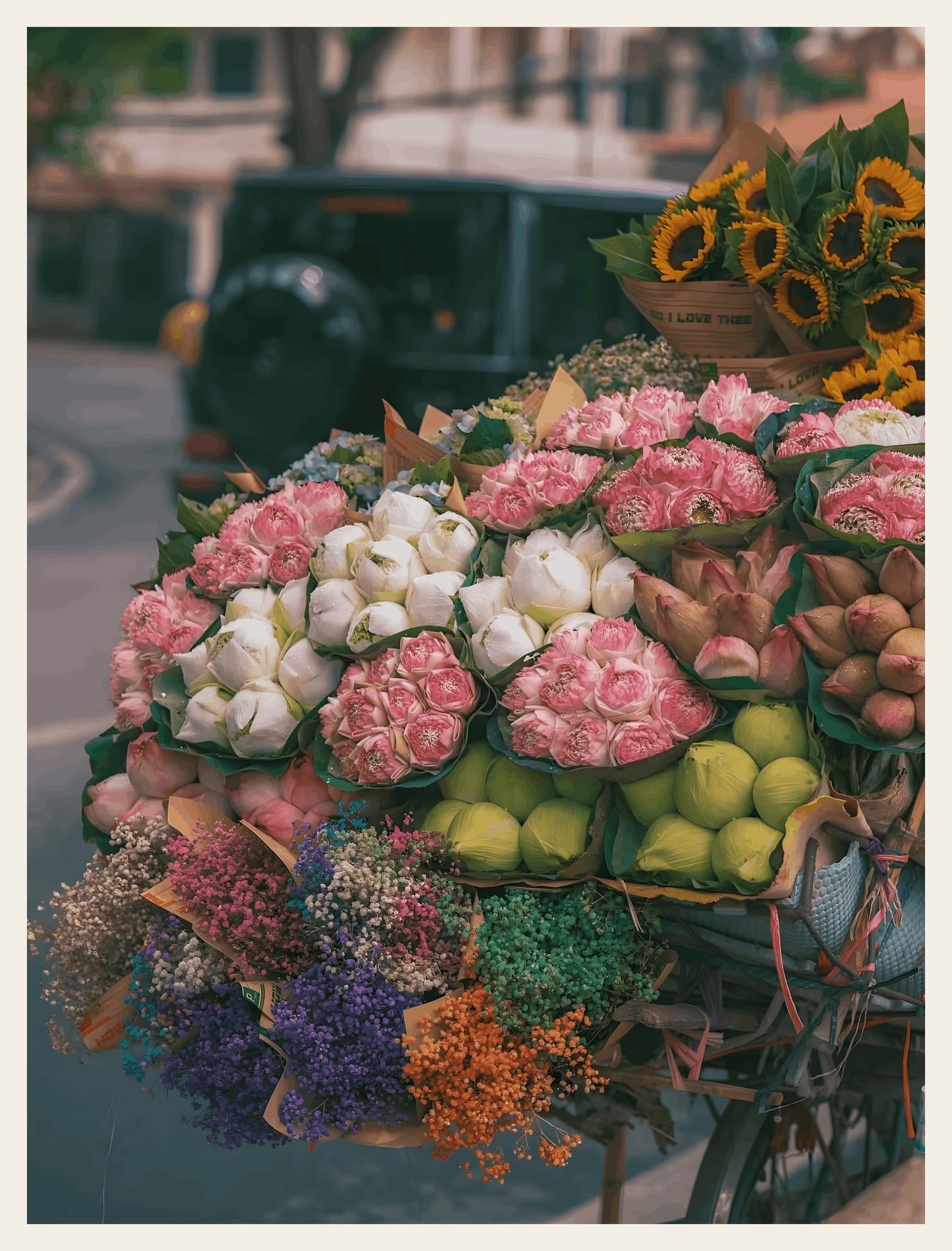 Flower Bike, Hanoi